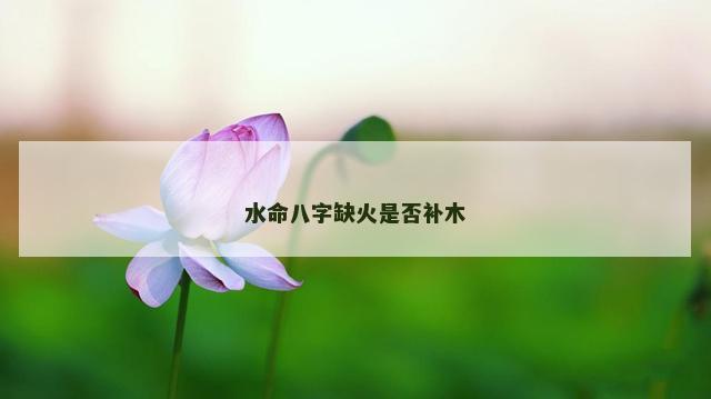 水命八字缺火是否补木 水命八字缺火是否补木