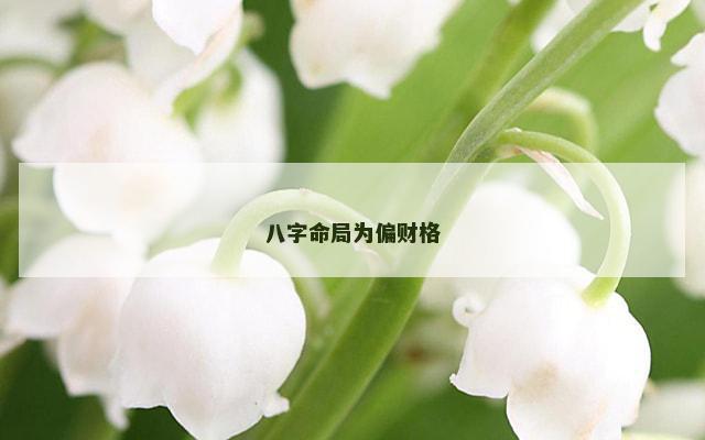 八字命局为偏财格 八字命局为偏财格