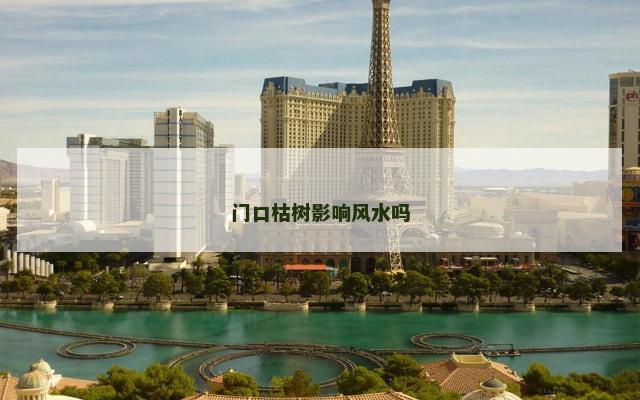 门口枯树影响风水吗 门口枯树影响风水吗