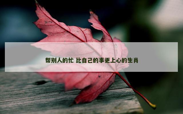 帮别人的忙 比自己的事更上心的生肖 帮别人的忙 比自己的事更上心的生肖