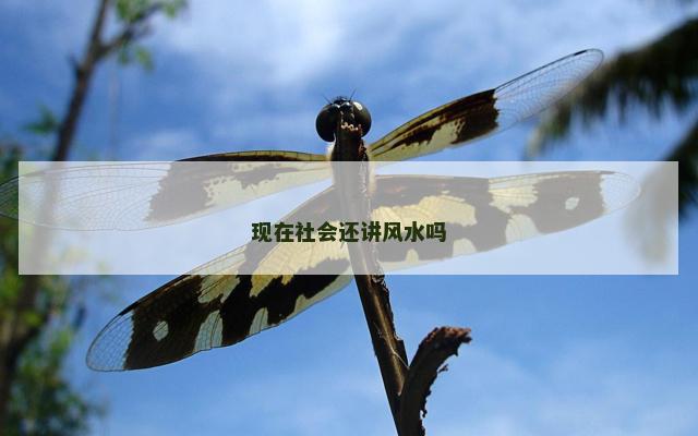 现在社会还讲风水吗