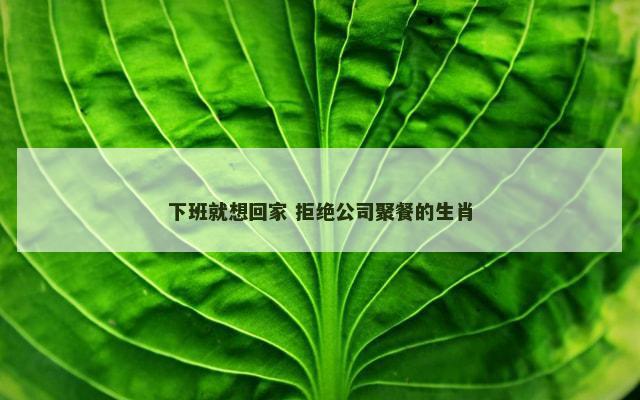 下班就想回家 拒绝公司聚餐的生肖 下班就想回家 拒绝公司聚餐的生肖