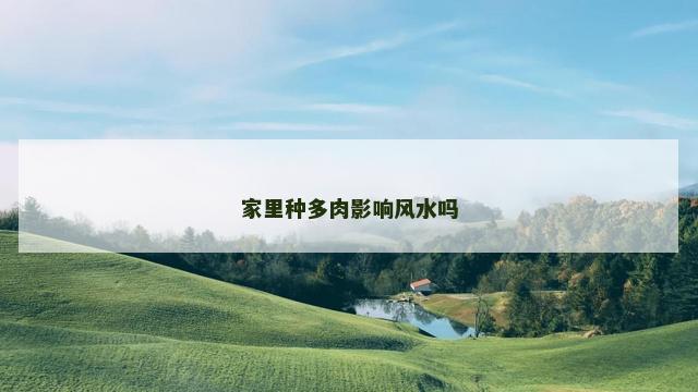 家里种多肉影响风水吗 家里种多肉影响风水吗