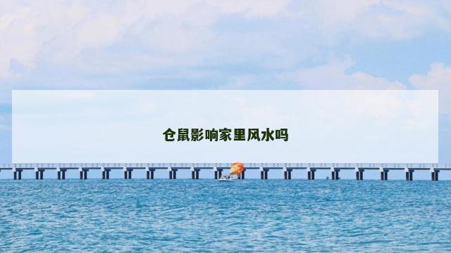 仓鼠影响家里风水吗 仓鼠影响家里风水吗