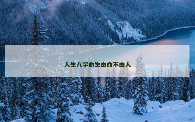 人生八字命生由命不由人 人生八字命生由命不由人