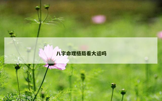 八字命理格局看大运吗 八字命理格局看大运吗