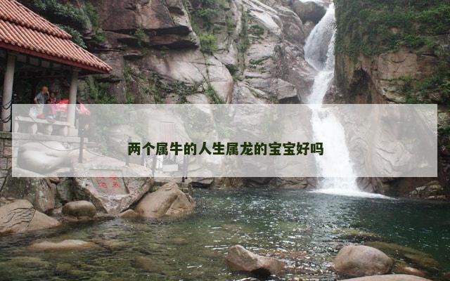 两个属牛的人生属龙的宝宝好吗