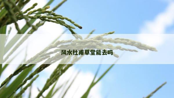 风水杜甫草堂能去吗 风水杜甫草堂能去吗