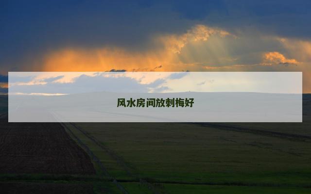 风水房间放刺梅好