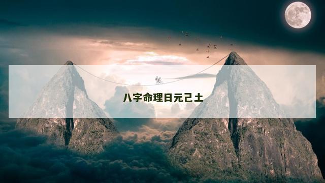八字命理日元己土 八字命理日元己土
