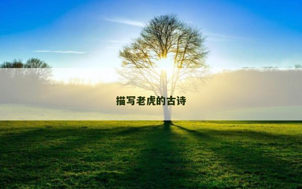 描写老虎的古诗