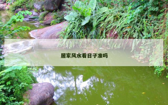 居家风水看日子准吗 居家风水看日子准吗