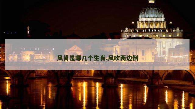 风肖是哪几个生肖,风吹两边倒