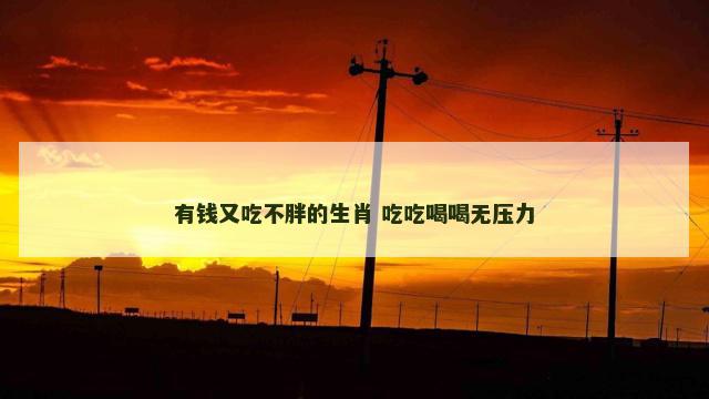 有钱又吃不胖的生肖 吃吃喝喝无压力