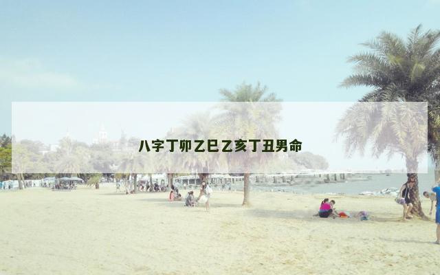 八字丁卯乙巳乙亥丁丑男命