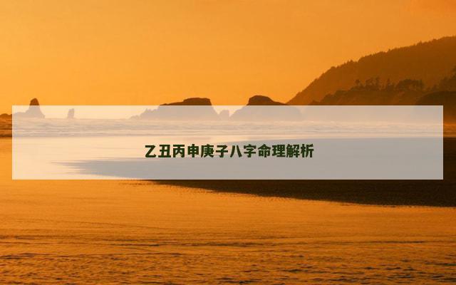 乙丑丙申庚子八字命理解析