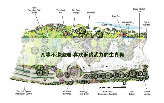 凡事不讲道理 喜欢诉诸武力的生肖男