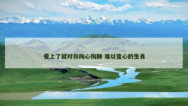 爱上了就对你掏心掏肺 难以变心的生肖