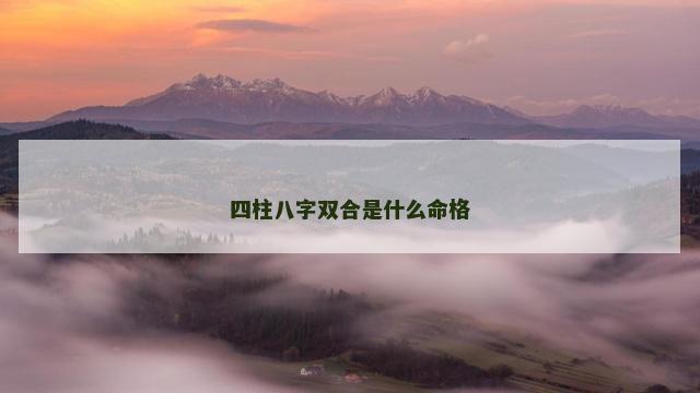 四柱八字双合是什么命格