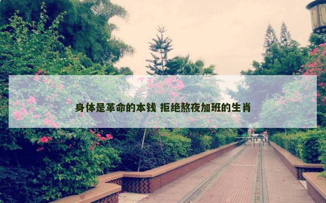 身体是革命的本钱 拒绝熬夜加班的生肖