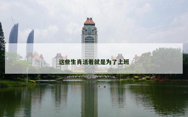 这些生肖活着就是为了上班