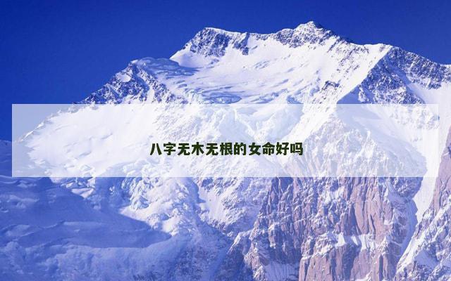 八字无木无根的女命好吗