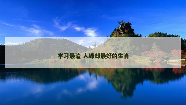 学习最渣 人缘却最好的生肖
