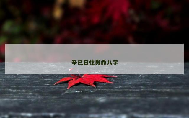 辛已日柱男命八字