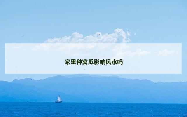 家里种窝瓜影响风水吗