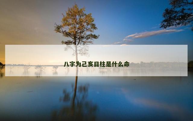 八字为己亥日柱是什么命