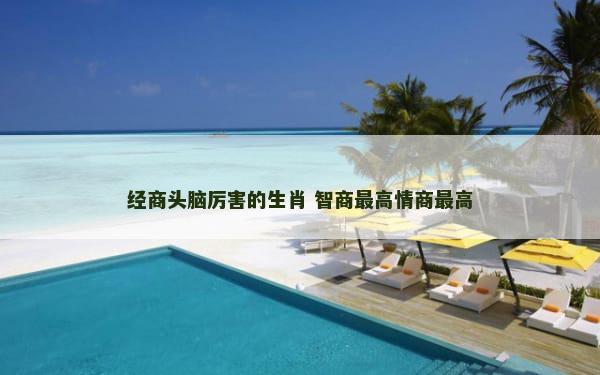 经商头脑厉害的生肖 智商最高情商最高