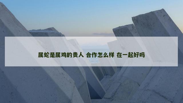 属蛇是属鸡的贵人 合作怎么样 在一起好吗