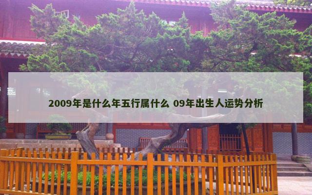 2009年是什么年五行属什么 09年出生人运势分析