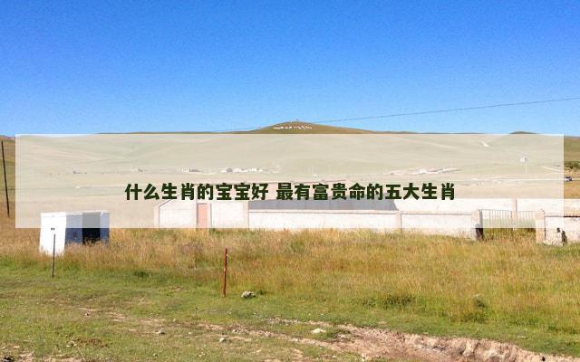 什么生肖的宝宝好 最有富贵命的五大生肖