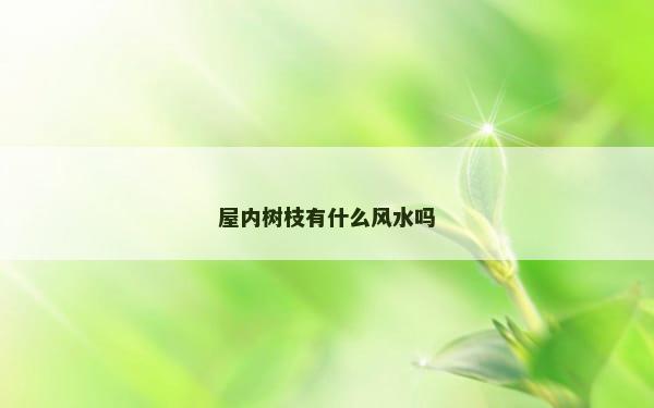 屋内树枝有什么风水吗
