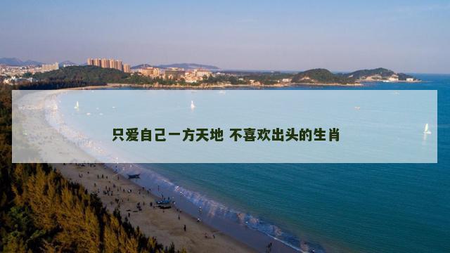 只爱自己一方天地 不喜欢出头的生肖