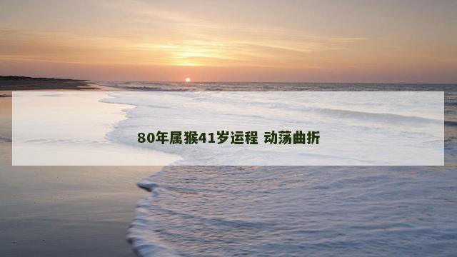 80年属猴41岁运程 动荡曲折