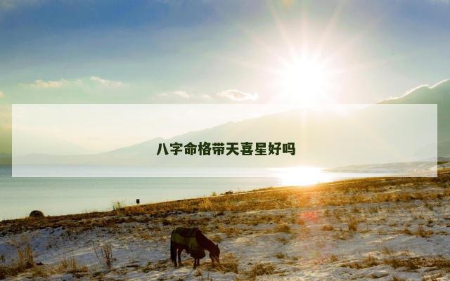 八字命格带天喜星好吗