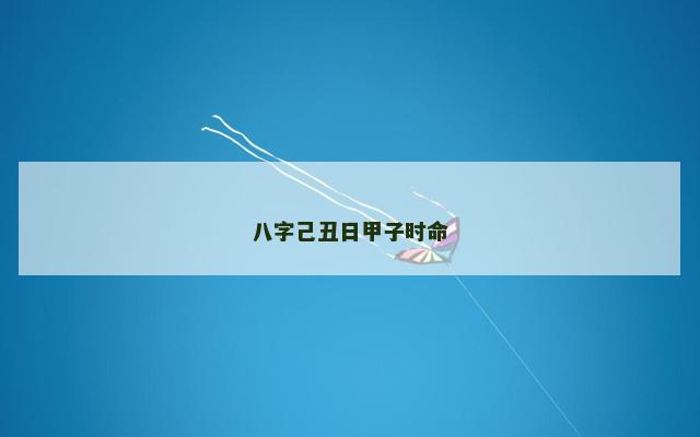 八字己丑日甲子时命