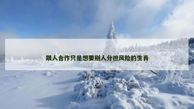 跟人合作只是想要别人分担风险的生肖