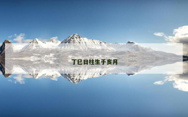 丁巳日柱生于亥月