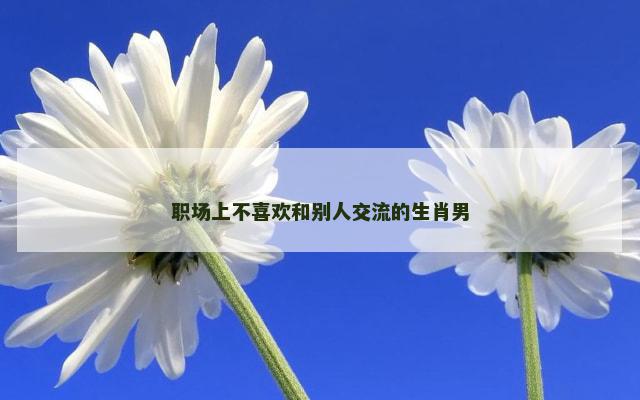 职场上不喜欢和别人交流的生肖男