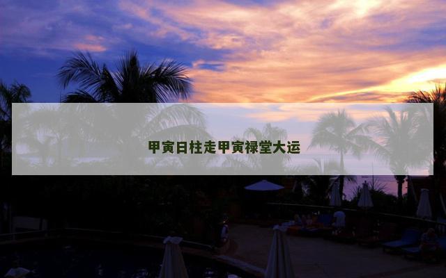甲寅日柱走甲寅禄堂大运