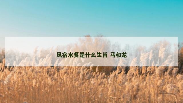 风宿水餐是什么生肖 马和龙
