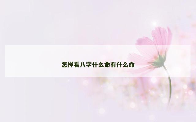 怎样看八字什么命有什么命