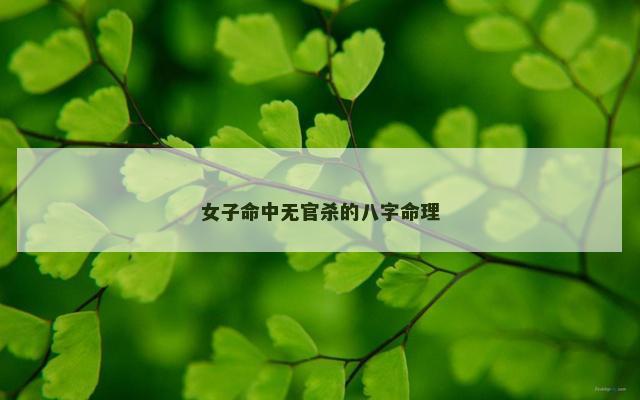女子命中无官杀的八字命理