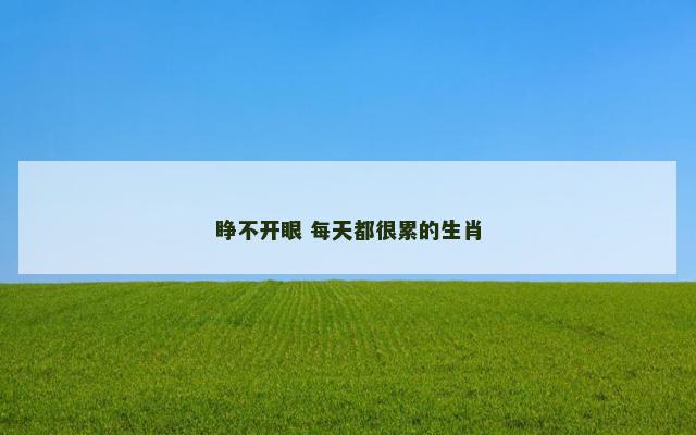 睁不开眼 每天都很累的生肖