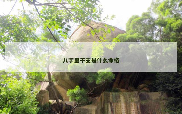 八字里干支是什么命格