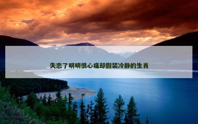 失恋了明明很心痛却假装冷静的生肖