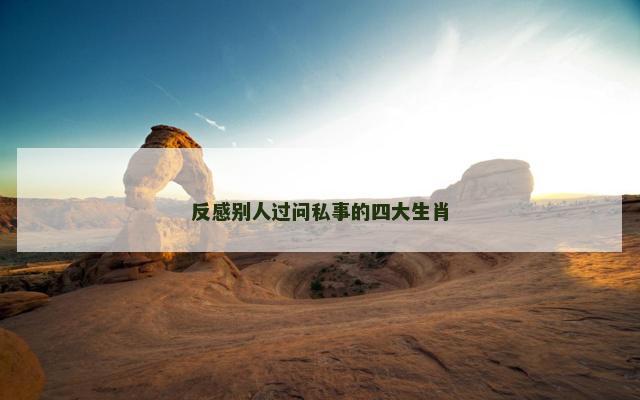 反感别人过问私事的四大生肖